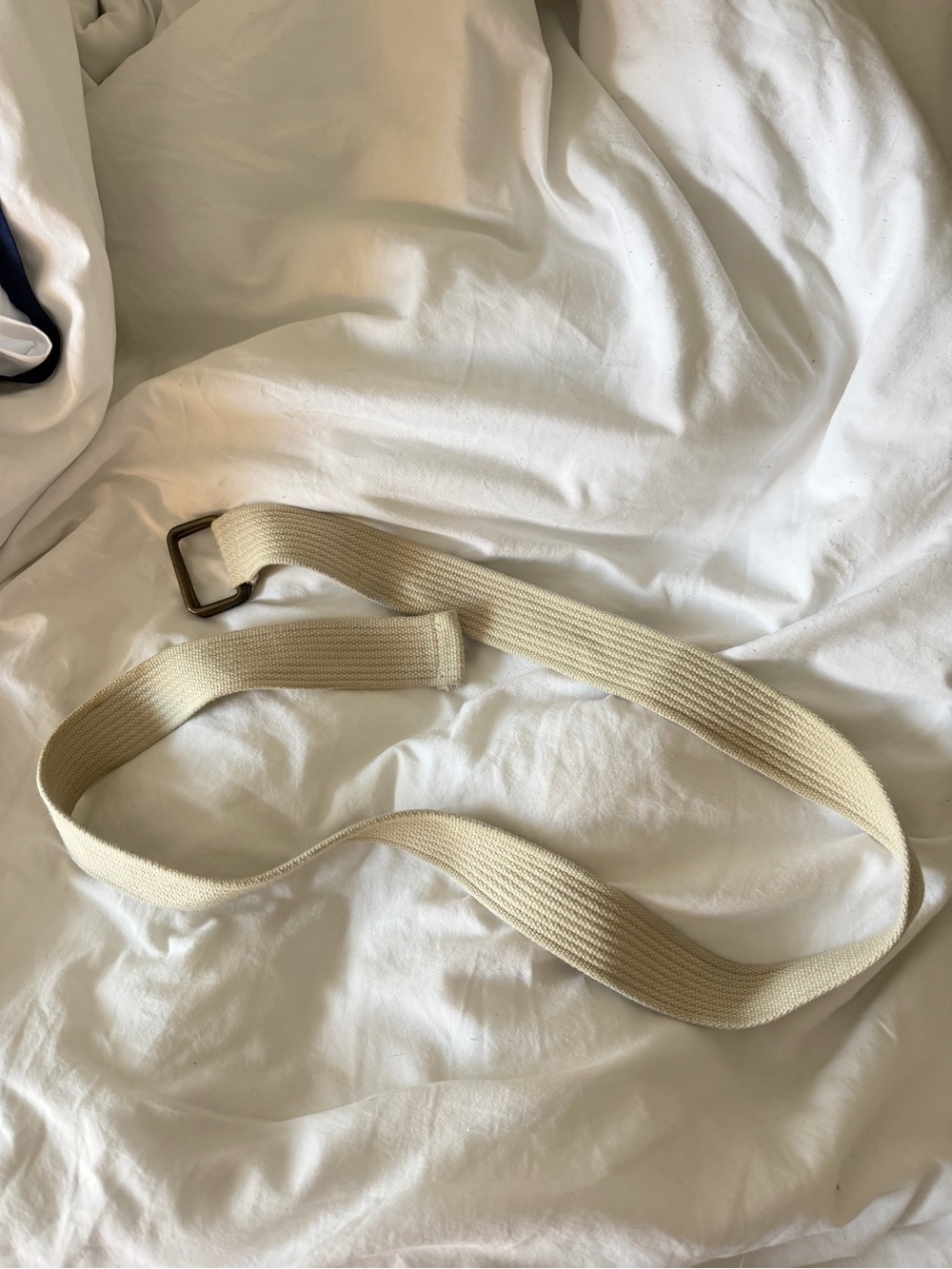 J.Crew Cream Canvas Web Belt with Antique Brass D-Ring Buckle